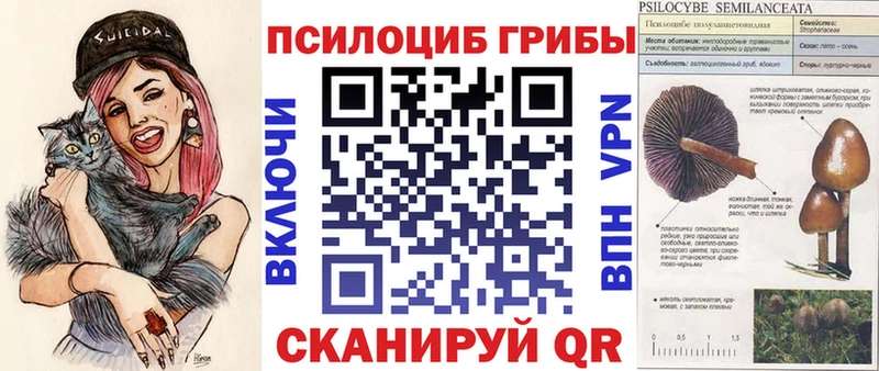 Галлюциногенные грибы прущие грибы Вуктыл